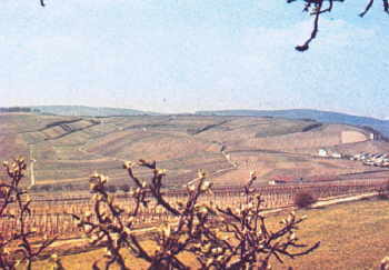 weinberg1a