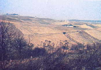 weinberga